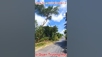 Cưa Nhánh Cây Còng Siêu To trên Cao Vua Vượn Miền Tây Tháp 10 Tập 89