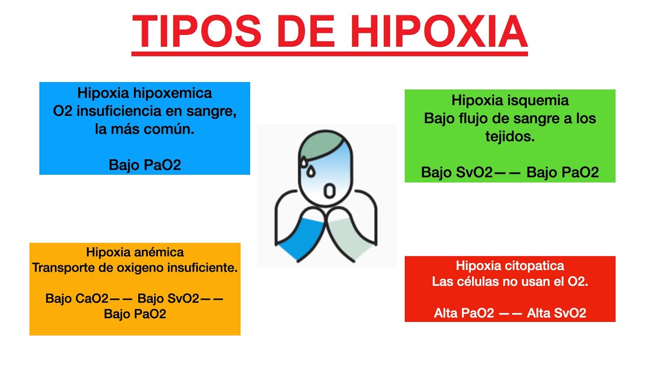 🔴 TIPOS DE HIPOXIA - YouTube