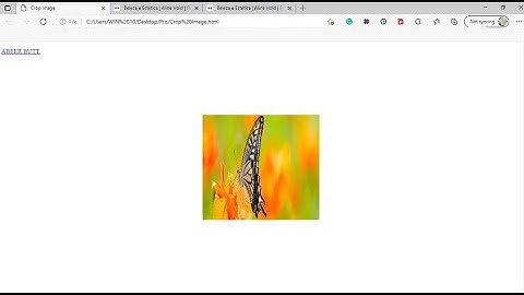Crop Image in Visual Studio using HTML & CSS Tutorial || SKY HIGH CODING
