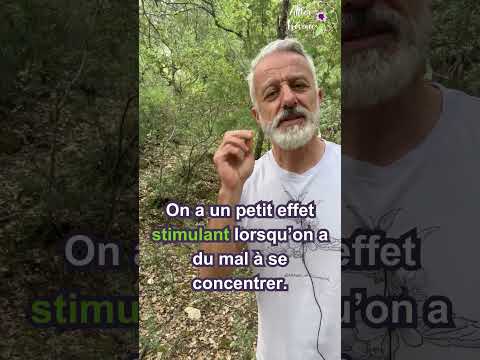 🍋 Gardez vos écorces de citron !