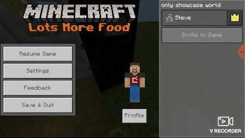 Checking out the more berries mod