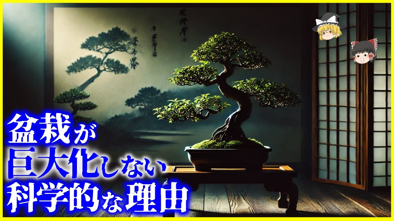 【ゆっくり解説】なぜ盆栽は小さいまま育つ？「盆栽」とは何なのか？を解説/盆栽が大きくならない科学的理由、盆栽の歴史と1億円以上の盆栽