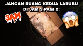 Download lagu JANGAN BUANG KEDUA LABUBU DI JAM 3 PAGI !!! GONE WRONG !!! ðŸ˜