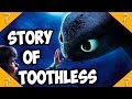 HTTYD SPIN-OFF from Toothless POV