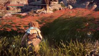 Horizon Zero Dawn - Tall grass
