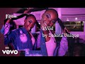 Dakota Unique Wild AUDIO mp3