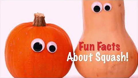 PABS Squash Fun Facts