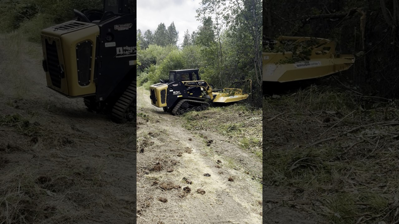 How Much Does Brush Clearing Cost?  #wallawalla #PropertyCleanup #skidsteer  #rurallife