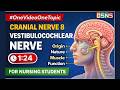 Cranial Nerve 8 (Vestibulocochlear Nerve) in 1:24 🔥 | Hearing & Balance | #OneVideoOneTopic | OSNS