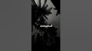 ايات من سورة الروم الشيخ المنشاوي #المنشاوي #المصحف #قران_كريم #راحة_نفسية