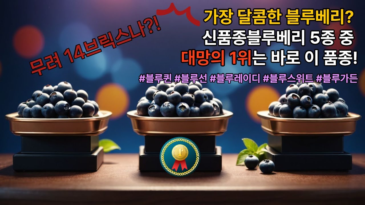 국산신품종블루베리 당도 순위!!