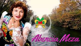 Video thumbnail of "Abencia Meza Parrandita 1 - Mi soledad - Licor maldito - Casada vida"