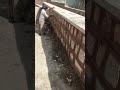 بندکشی دیوار سنگی Https Www Youtube Com Channel UCHcWieRKsWhLwzf2KVSzlwA Sub Confirmation 1 