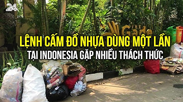 Lệnh cấm đồ nhựa dùng một lần tại Indonesia gặp nhiều thách thức | VTV24