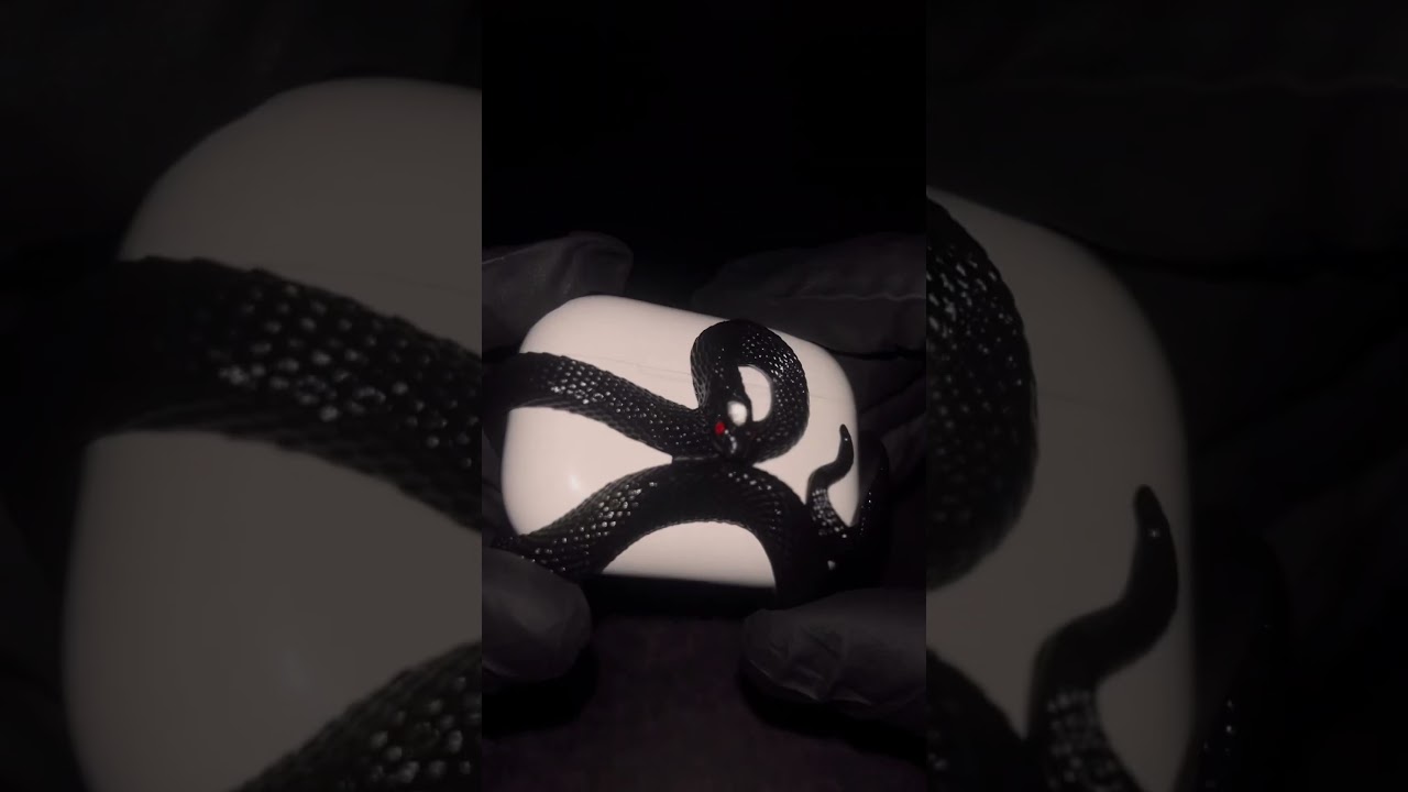 Coolest AirPod Case😈🐍 