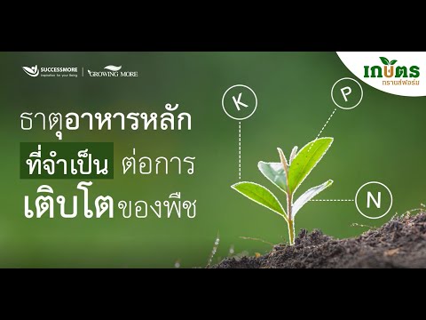 วีดีโอ: สารอาหารสำคัญที่พบในดิน - สารอาหารในดินทั่วไปสำหรับการเจริญเติบโตของพืช