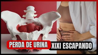 COMO PREVENIR OS ESCAPES DE XIXI(INCONTINÊNCIA URINÁRIA)