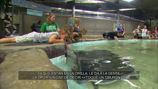 ¡Adelante! | Program | #1526