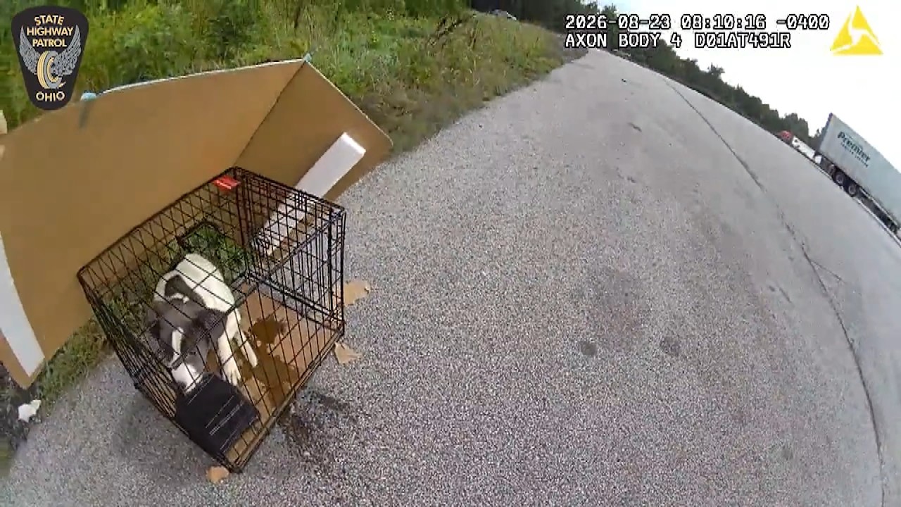 Highway Patrol Officer Rescues Dog Abandoned on Ohio Highway