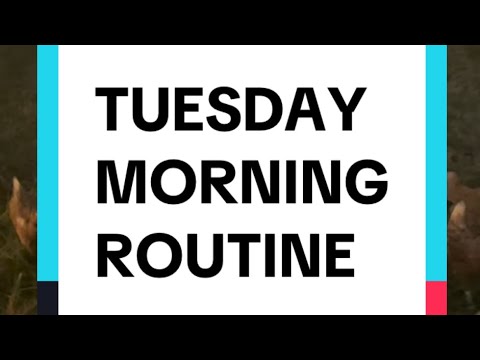 Tuesday Morning Routine - YouTube