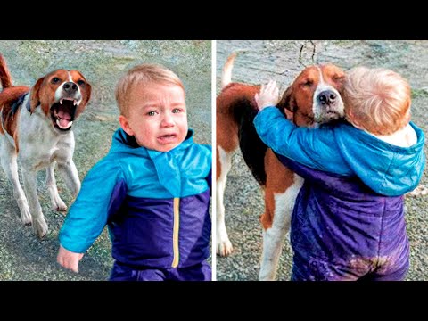 Dogs Recognize Owners After Years