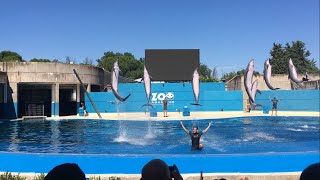 ZOO Aquarium de Madrid