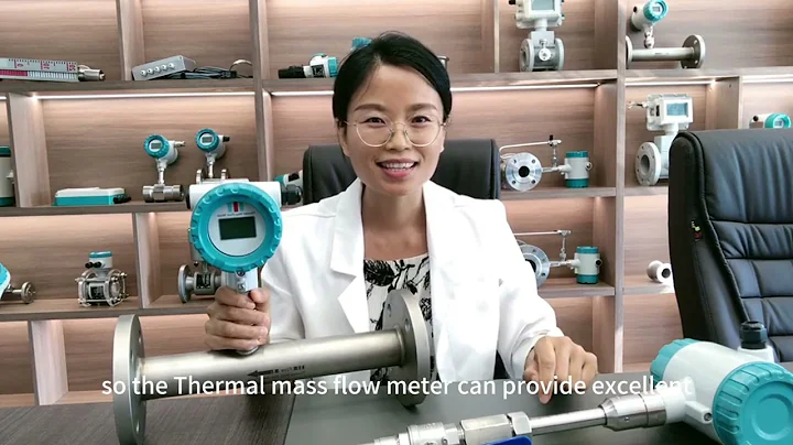 Thermal Mass Flow Meter Advantages.#flowmeter #meters #flowmeasurement #massflowmeter #factory
