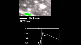 Soft X-ray spectromicroscopy of polymers and biopolymer interfaces - 2 screenshot 2