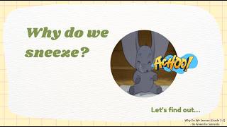 Why Do We Sneeze? 🤧 | Simple Science Explained for Kids | Grade 1–2