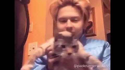 weiland - broken *snippet*