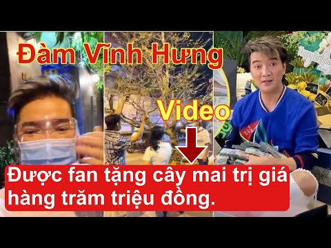 Đàm Vĩnh Hưng được fan chơi lớn tặng cây mai cao 5 mét, trị giá hàng trăm triệu đồng .