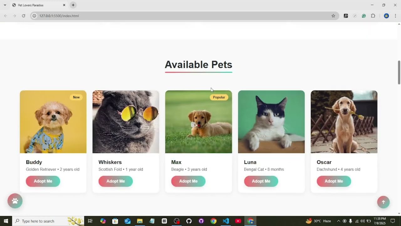 Pet Lovers Paradise 🐾 | Full Website Using HTML CSS JS | Modern UI + Responsive