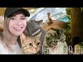 Tokyo's Forest Themed Cat Cafe | Temari no Ouchi