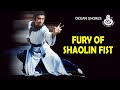 Wu Tang Collection - Fury of Shaolin Fist