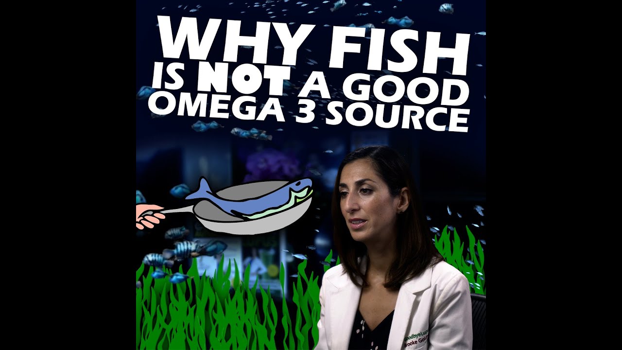 why-not-eat-fish-for-omega-3-youtube