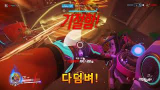 레야 오장육부에서 올라오는 ㅅㅂ 욕 주의 오버워치