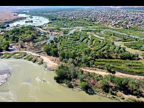 მოგლეჯილი ხეები და განადგურებული ბუნება რუსთავთან