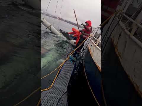 Recreational Salvage