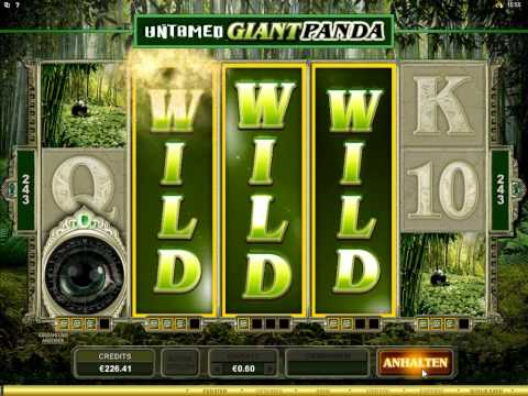 Untamed Giant Panda Slot - 2x Super Mega Win