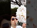 桜【コブクロ】カズーで吹いてみた #shorts