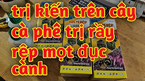 thuốc trị kiến trên cây cà phê trị mọt đục cành và rầy rệp sap 023 910