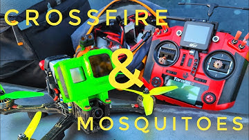 TBS Crossfire Maiden...and mosquitoes #teamblacksheep #crossfire #ethix