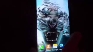 Tiger Live Wallpaper Review - PlayStore screenshot 4