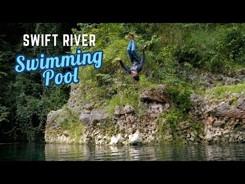 Hidden Gems in Jamaica! Swift River Natural Swimming Pool  🇯🇲