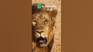 Surah Al-Muddaththir (Cloaked One) 48-56 | Urdu | Hindi Audio Translation |  سورة المدثر