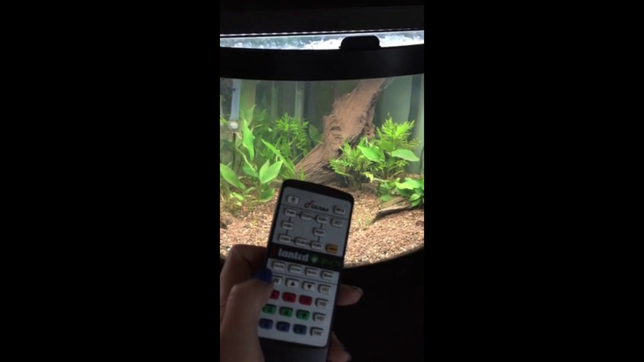 finnex planted 24 7