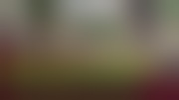 Những vụ bạo lực học đường rúng động năm 2022