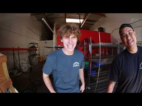 Mondays look like this on a Mushroom Farm! Happy Memorial Day 🫡 | "Behind the Blocks" 🍄 | VLOG 4