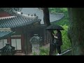 [Rain Sounds] 언덕에서 바라본 창경궁, 비오는 풍경. Relaxation ASMR