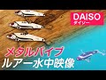 【ダイソーメタルバイブ】100均の鉄板が果たして使えるのか？水中映像で動きを確認してみた！［インプレ］